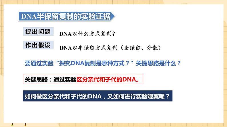 3.3DNA的复制  课件 新人教版生物必修205