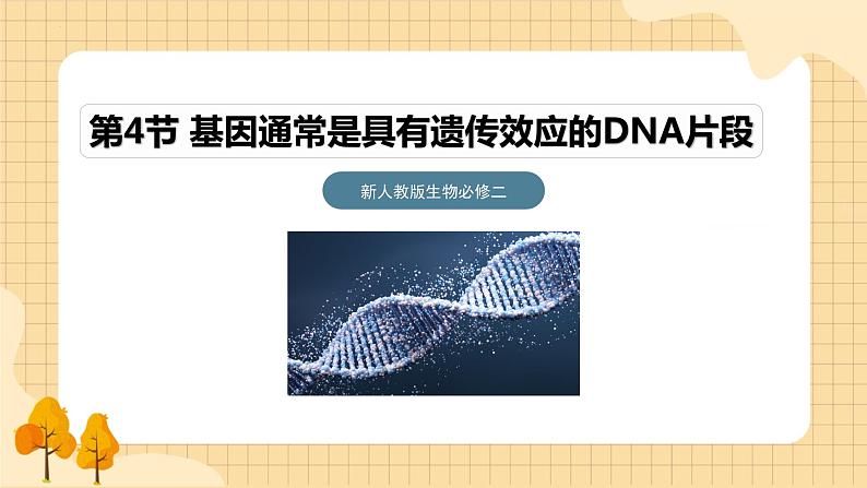 3.4基因通常是有遗传效应的DNA片段  课件 新人教版生物必修201