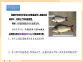 3.4基因通常是有遗传效应的DNA片段  课件 新人教版生物必修2