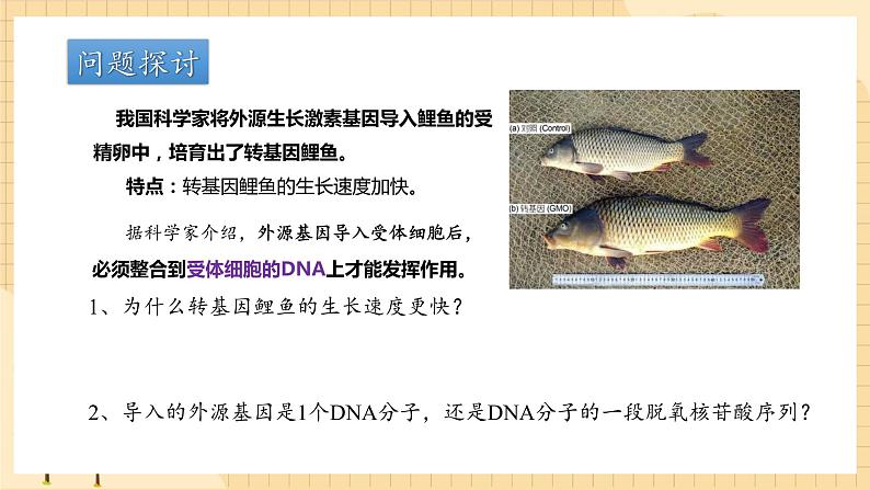 3.4基因通常是有遗传效应的DNA片段  课件 新人教版生物必修204