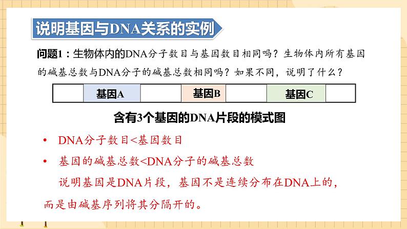 3.4基因通常是有遗传效应的DNA片段  课件 新人教版生物必修207