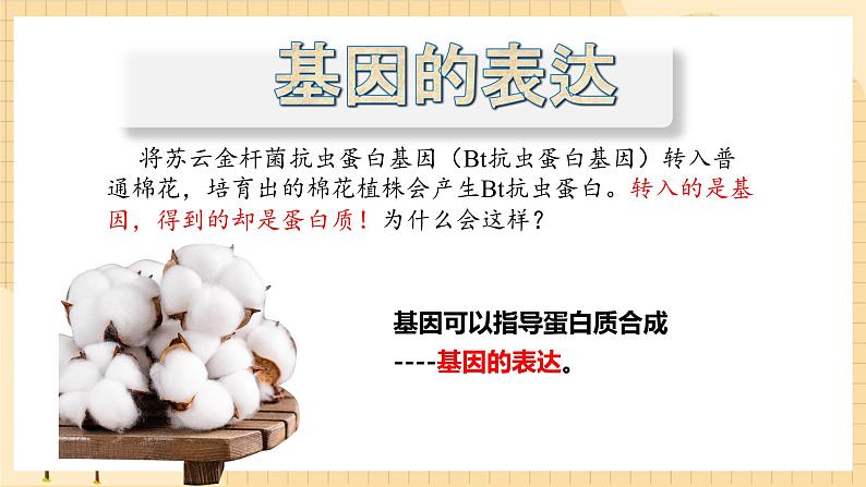 4.1基因指导蛋白质的合成（第一课时）  课件 新人教版生物必修2第3页