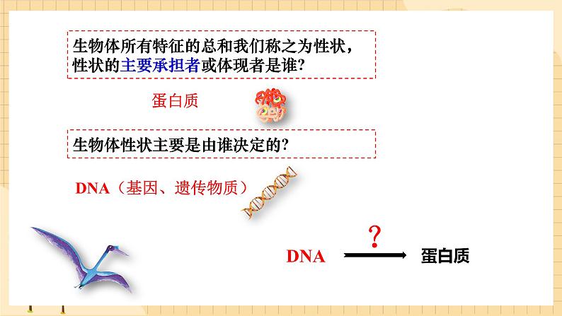 4.1基因指导蛋白质的合成（第一课时）  课件 新人教版生物必修2第7页