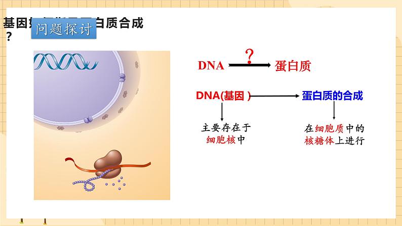 4.1基因指导蛋白质的合成（第一课时）  课件 新人教版生物必修2第8页