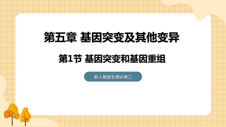 5.1基因突变和基因重组  课件 新人教版生物必修201