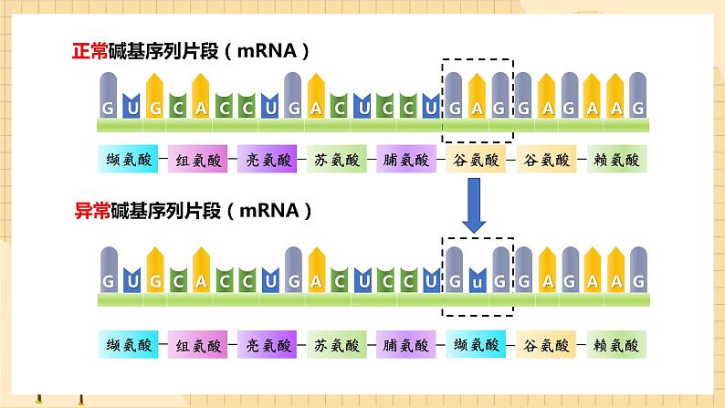 5.1基因突变和基因重组  课件 新人教版生物必修205