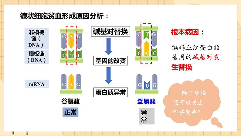 5.1基因突变和基因重组  课件 新人教版生物必修206