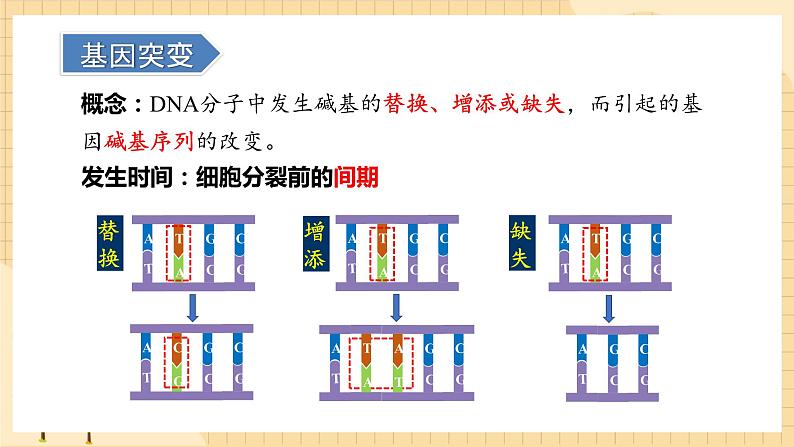 5.1基因突变和基因重组  课件 新人教版生物必修207