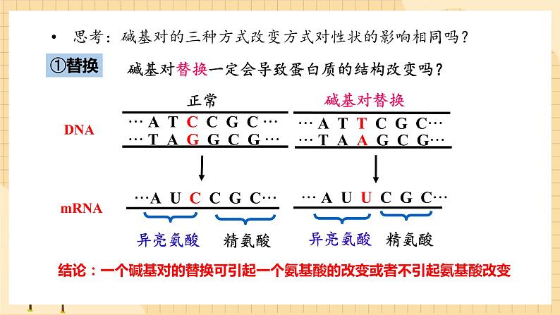 5.1基因突变和基因重组  课件 新人教版生物必修208