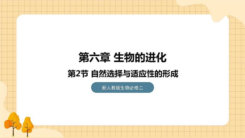 6.2自然选择与适应的形成  课件 新人教版生物必修2第1页