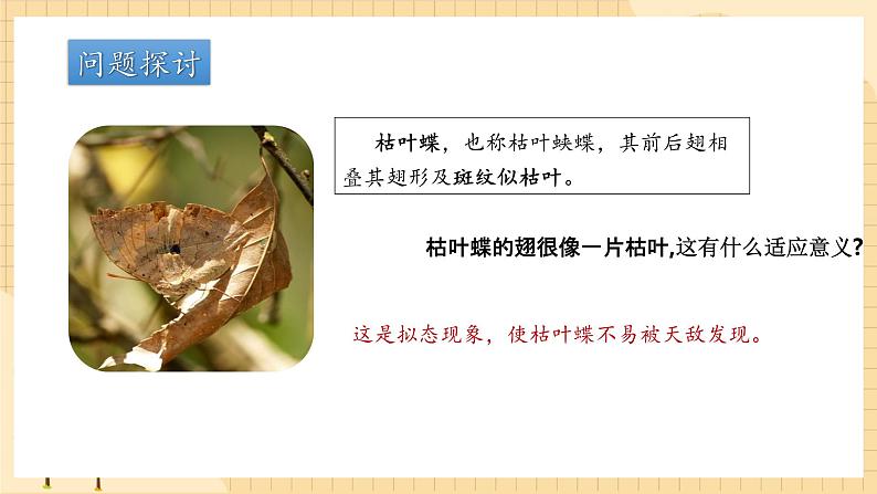 6.2自然选择与适应的形成  课件 新人教版生物必修2第3页