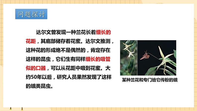 6.4协同进化与生物多样性的形成  课件 新人教版生物必修203