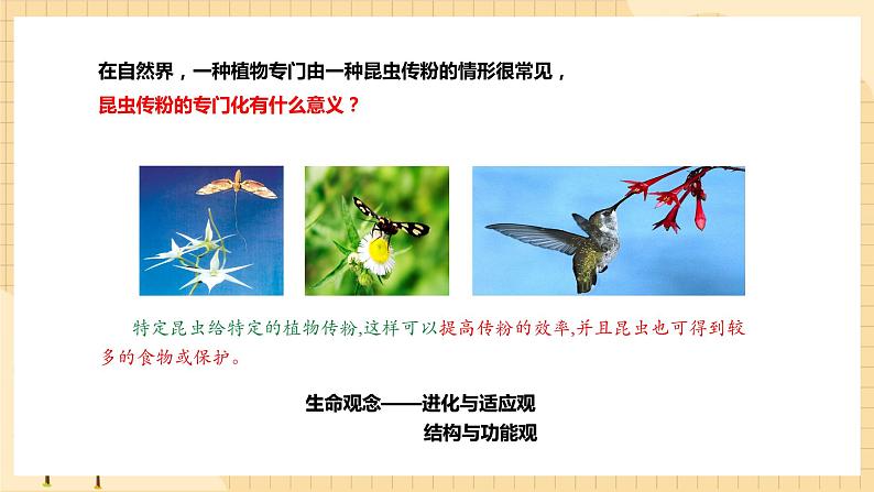 6.4协同进化与生物多样性的形成  课件 新人教版生物必修205