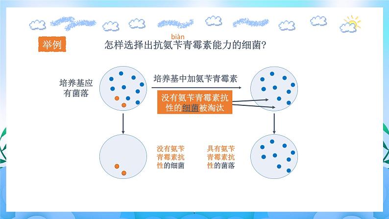 1.2.2 微生物的选择培养和计数 课件+作业（原卷+解析卷）+素材（新人教版2019选择性必修3-高二生物）05