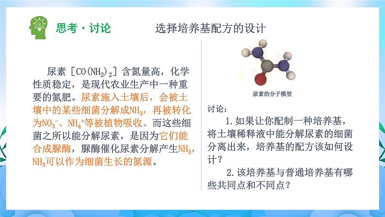 1.2.2 微生物的选择培养和计数 课件+作业（原卷+解析卷）+素材（新人教版2019选择性必修3-高二生物）06