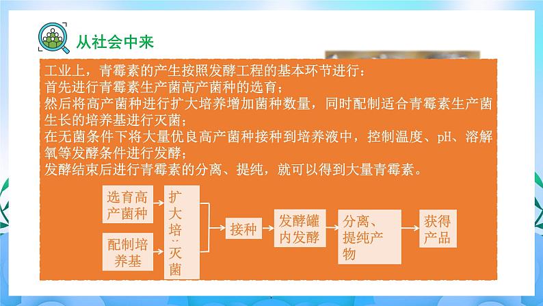 1.3 发酵工程及其应用 课件+ 作业（原卷+解析卷）+素材（新人教版2019选择性必修3-高二生物）03