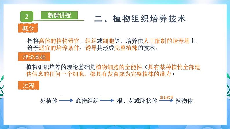 2.1.1 植物细胞工程的基本技术  课件+作业（原卷+解析卷）+素材（新人教版2019选择性必修3-高二生物）07