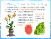 2.1.2 植物细胞工程的应用  课件+作业（原卷+解析卷）（新人教版2019选择性必修3-高二生物）