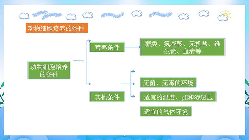 2.2.1 动物细胞培养（课件）（人教版2019选择性必修3-高二生物）第6页