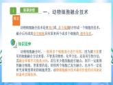 2.2.2 动物细胞融合技术与单克隆抗体  课件+作业（原卷+解析卷）+素材（新人教版2019选择性必修3-高二生物）