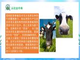2.3.1 胚胎工程的理論基礎(chǔ)  課件+作業(yè)（原卷+解析卷）+素材（新人教版2019選擇性必修3-高二生物）