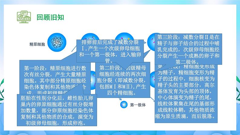 2.3.1 胚胎工程的理论基础  课件+作业（原卷+解析卷）+素材（新人教版2019选择性必修3-高二生物）07