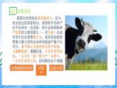 2.3.2 胚胎工程技術(shù)及其應(yīng)用 課件+作業(yè)（原卷+解析卷）（新人教版2019選擇性必修3-高二生物）