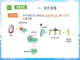 2.3.2 胚胎工程技术及其应用 课件+作业（原卷+解析卷）（新人教版2019选择性必修3-高二生物）