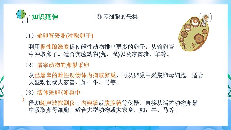 2.3.2 胚胎工程技术及其应用 课件+作业（原卷+解析卷）（新人教版2019选择性必修3-高二生物）07