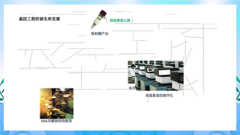 3.1 重组DNA技术的基本工具  课件+作业（原卷+解析卷）+素材（新人教版2019选择性必修3-高二生物）03