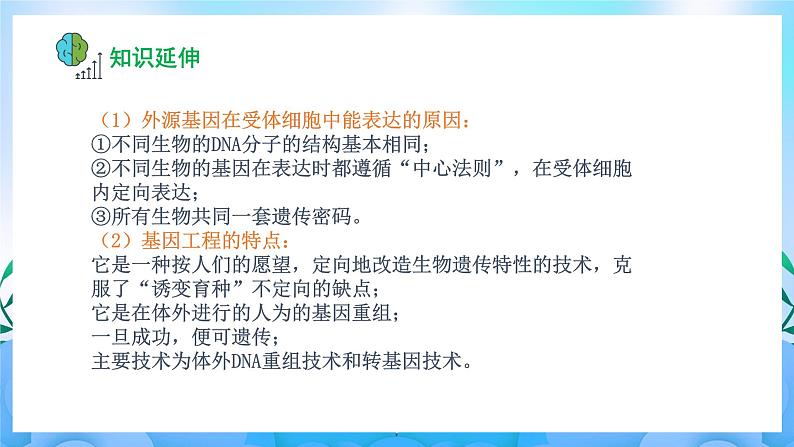 3.1 重组DNA技术的基本工具  课件+作业（原卷+解析卷）+素材（新人教版2019选择性必修3-高二生物）05