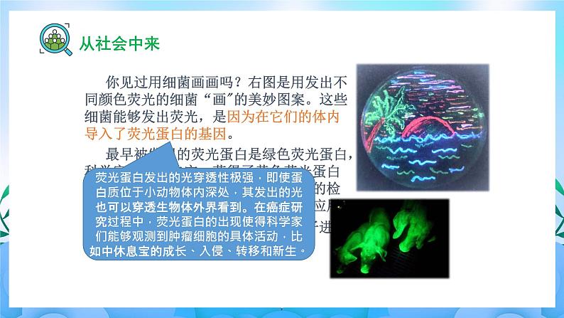 3.4 蛋白质工程的原理和应用 课件+素材（新人教版2019选择性必修3-高二生物）03