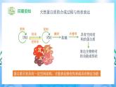 3.4 蛋白质工程的原理和应用 课件+素材（新人教版2019选择性必修3-高二生物）