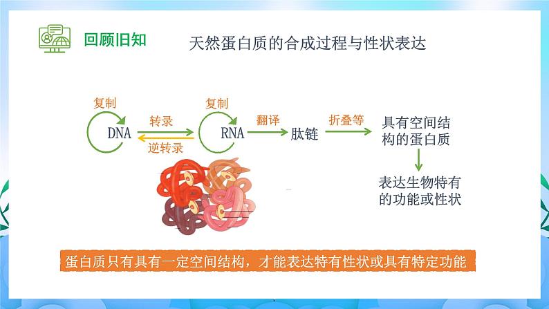 3.4 蛋白质工程的原理和应用 课件+素材（新人教版2019选择性必修3-高二生物）04