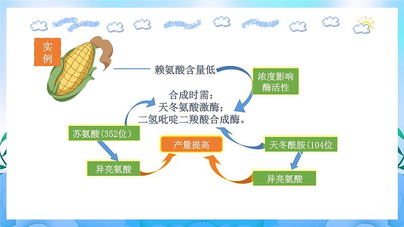 3.4 蛋白质工程的原理和应用 课件+素材（新人教版2019选择性必修3-高二生物）07