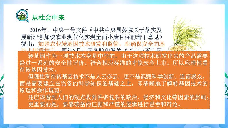 4.1 转基因食品的安全性（课件）（新人教版2019选择性必修3-高二生物）第3页