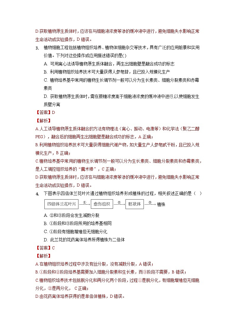 2.1.1 植物细胞工程的基本技术  作业（原卷+解析卷）（人教版2019选择性必修3-高二生物）02