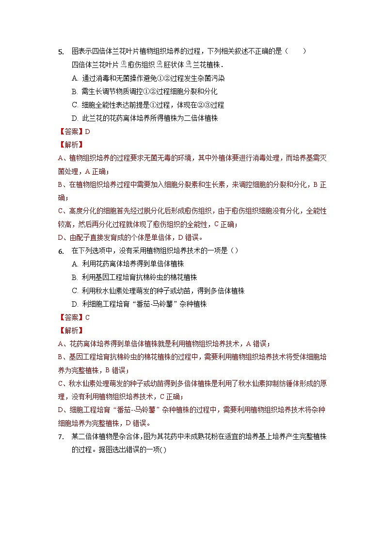 2.1.1 植物细胞工程的基本技术  作业（原卷+解析卷）（人教版2019选择性必修3-高二生物）03