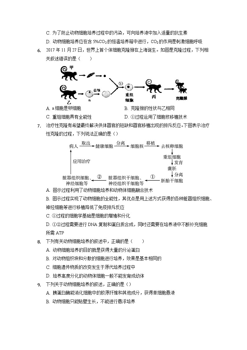 2.2.1 动物细胞培养 作业（原卷+解析卷）（新人教版2019选择性必修3-高二生物）02