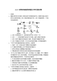 高中生物人教版 (2019)选择性必修3三 动物体细胞核移植技术和克隆动物精品课时训练