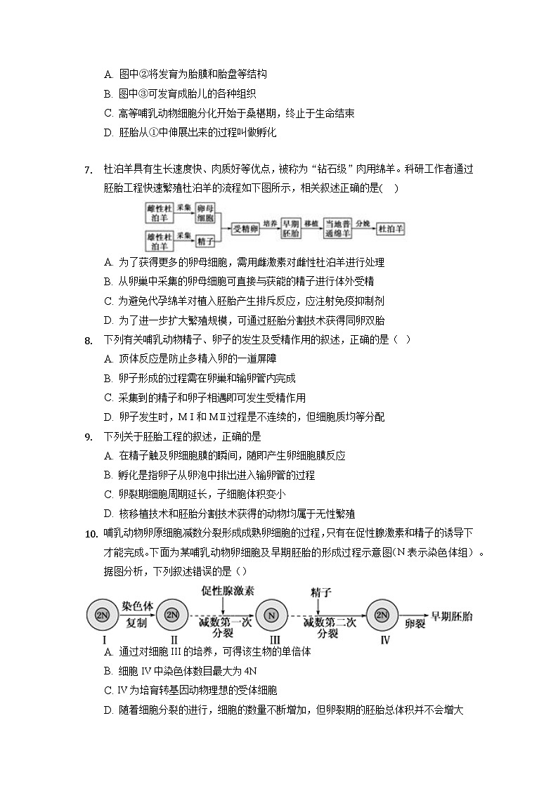 2.3.1 胚胎工程的理论基础  作业（原卷+解析卷）（新人教版2019选择性必修3-高二生物）02