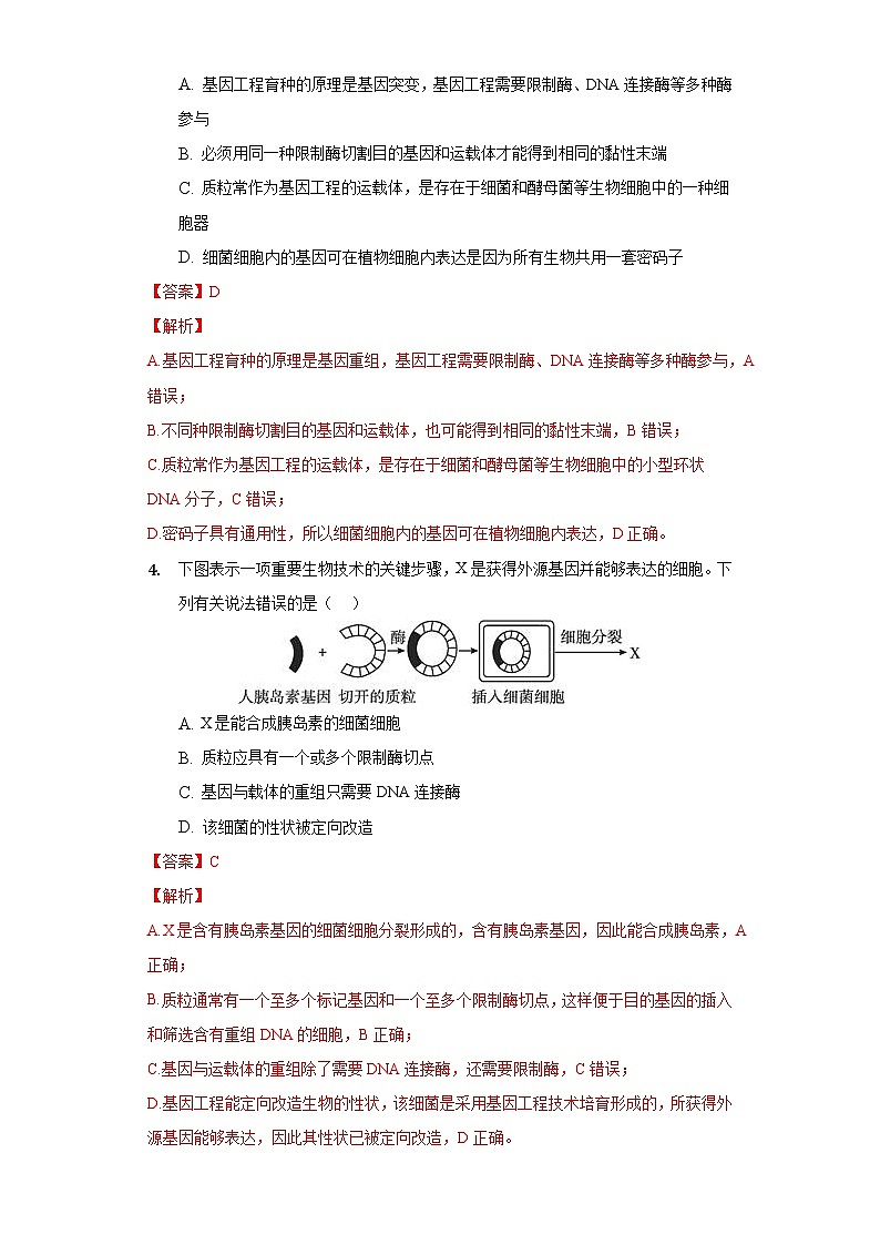 3.1 重组DNA技术的基本工具  作业（原卷+解析卷）（新人教版2019选择性必修3-高二生物）02