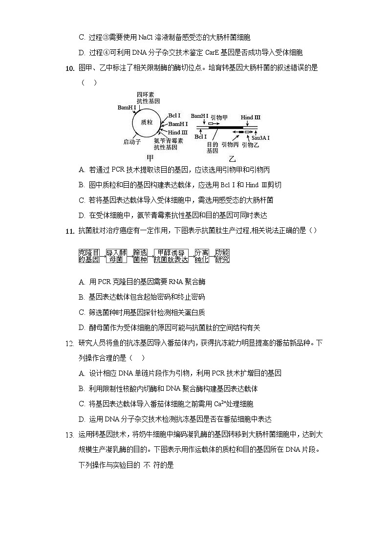 3.2 基因工程的基本操作程序 (作业）（新人教版2019选择性必修3-高二生物）（原卷版）第3页