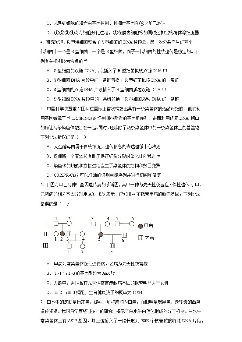 2023届山东省济南市历城二中高三一模生物试题（含解析）第2页