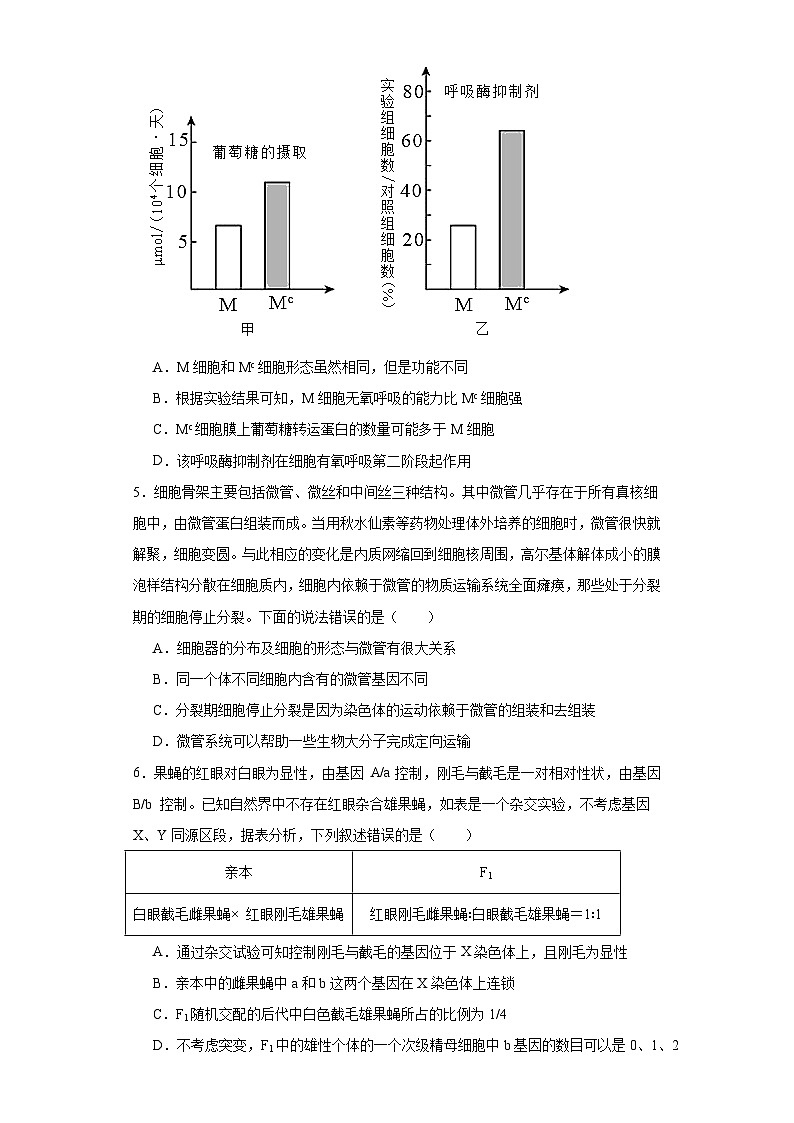 2023届河北省部分学校高三二模联考生物试题（含解析）02