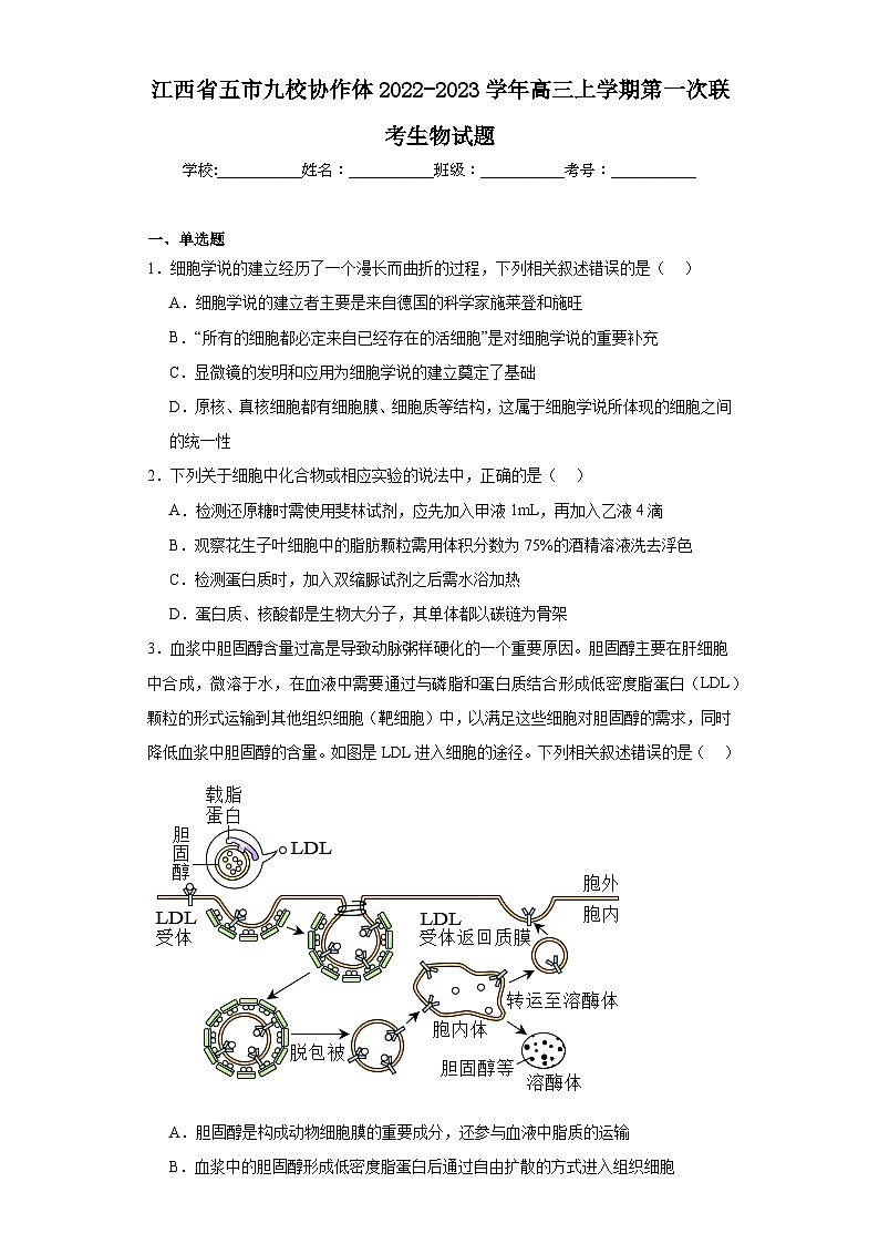 江西省五市九校协作体2022-2023学年高三上学期第一次联考生物试题（含解析）第1页