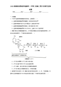 2023届湖南省娄底市涟源市一中等三校高三第六次联考生物试题（含解析）