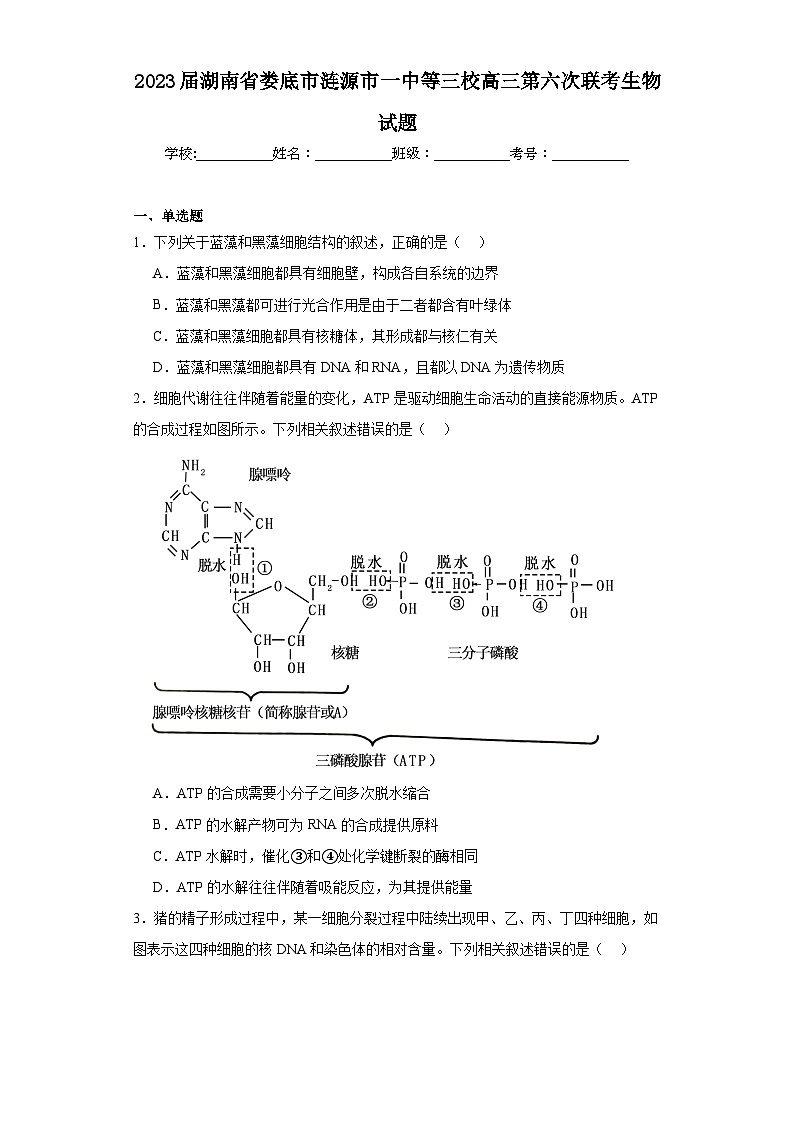 2023届湖南省娄底市涟源市一中等三校高三第六次联考生物试题（含解析）第1页