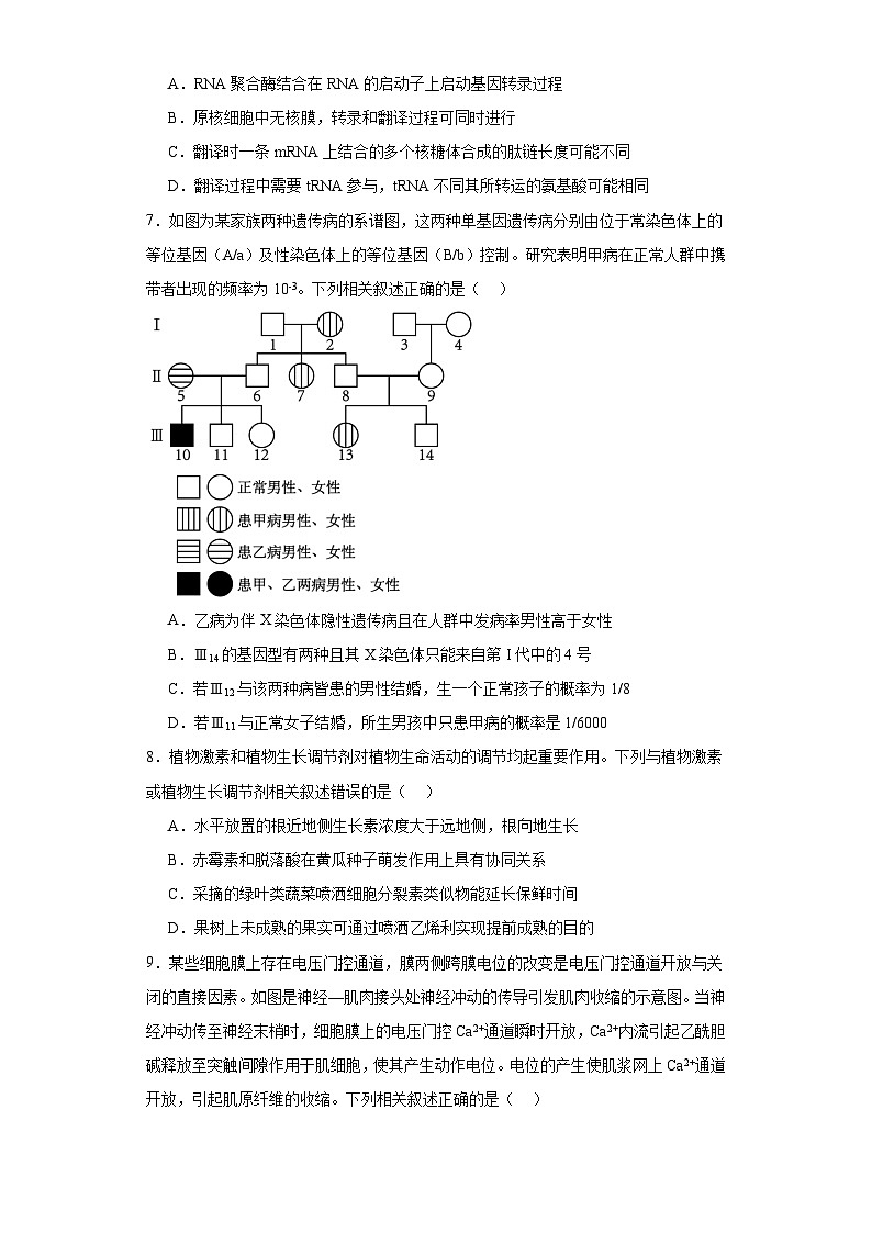 2023届湖南省娄底市涟源市一中等三校高三第六次联考生物试题（含解析）第3页