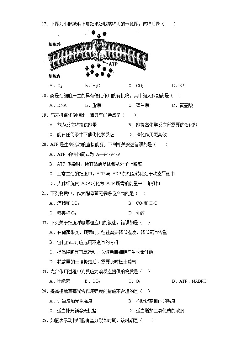 2023年辽宁省鞍山市高中学业水平考试模拟测试生物试题（含解析）03